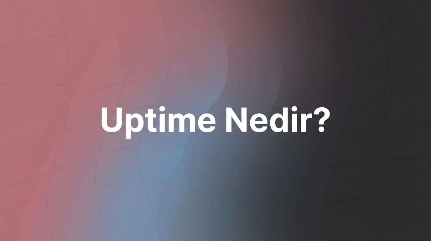 Uptime monitoring ve sunucu erişilebilirliği