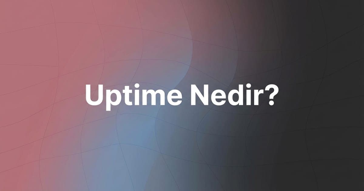 Uptime monitoring ve sunucu erişilebilirliği